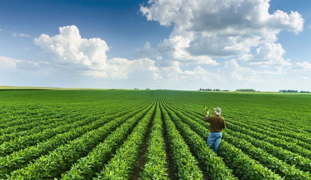 我國磷資源產業(yè)發(fā)展的問題與建議3.jpg 我國磷資源產業(yè)發(fā)展的問題與建議3.jpg